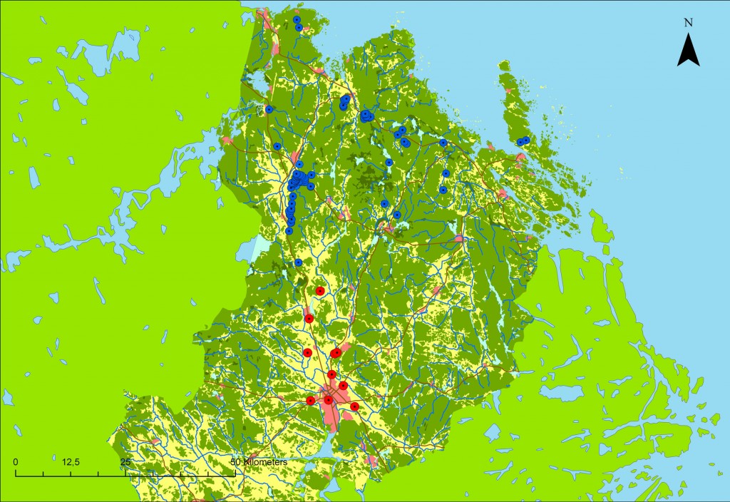 Storasmaliten