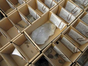Stenredskap i kvarts och rester från tillverkning från en av de mesolitiska boplatserna vid Svartkärret.