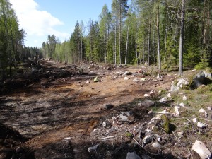  Lokalen, Kränglan 1, ligger väl inramad mellan den omkringliggande stenigare terrängen och den lerjord som under stenåldern utgjorde havsbotten. 